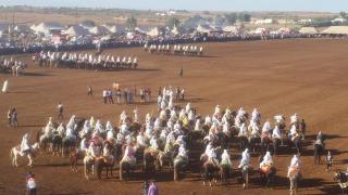 مشاركة أزيد من 1500 فارس في دورة 2016